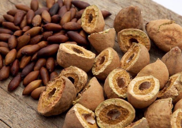 Regenature, a Brazillian health foods importer and exporter, wants to regenerate the Cerrado by popularizing the native Baru nut