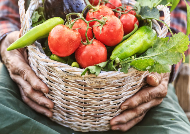 These 18 organizations are fighting for farmworker rights and wellbeing. Learn about their work during National Farmworker Awareness Week