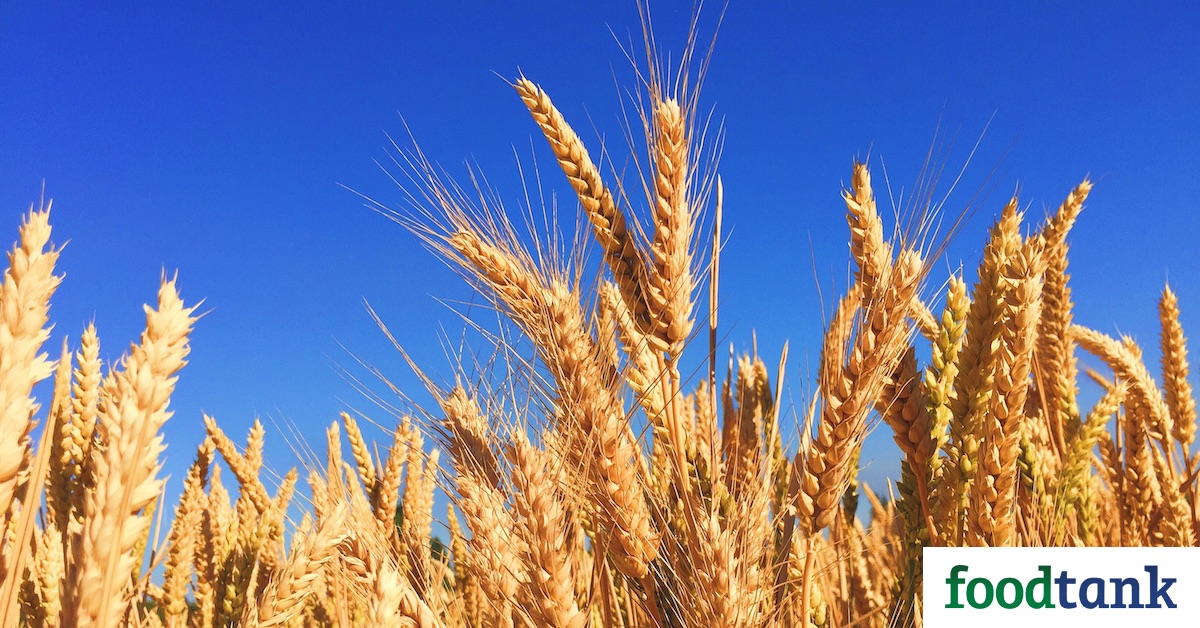 General Mills launches a regenerative wheat farming pilot program in Kansas