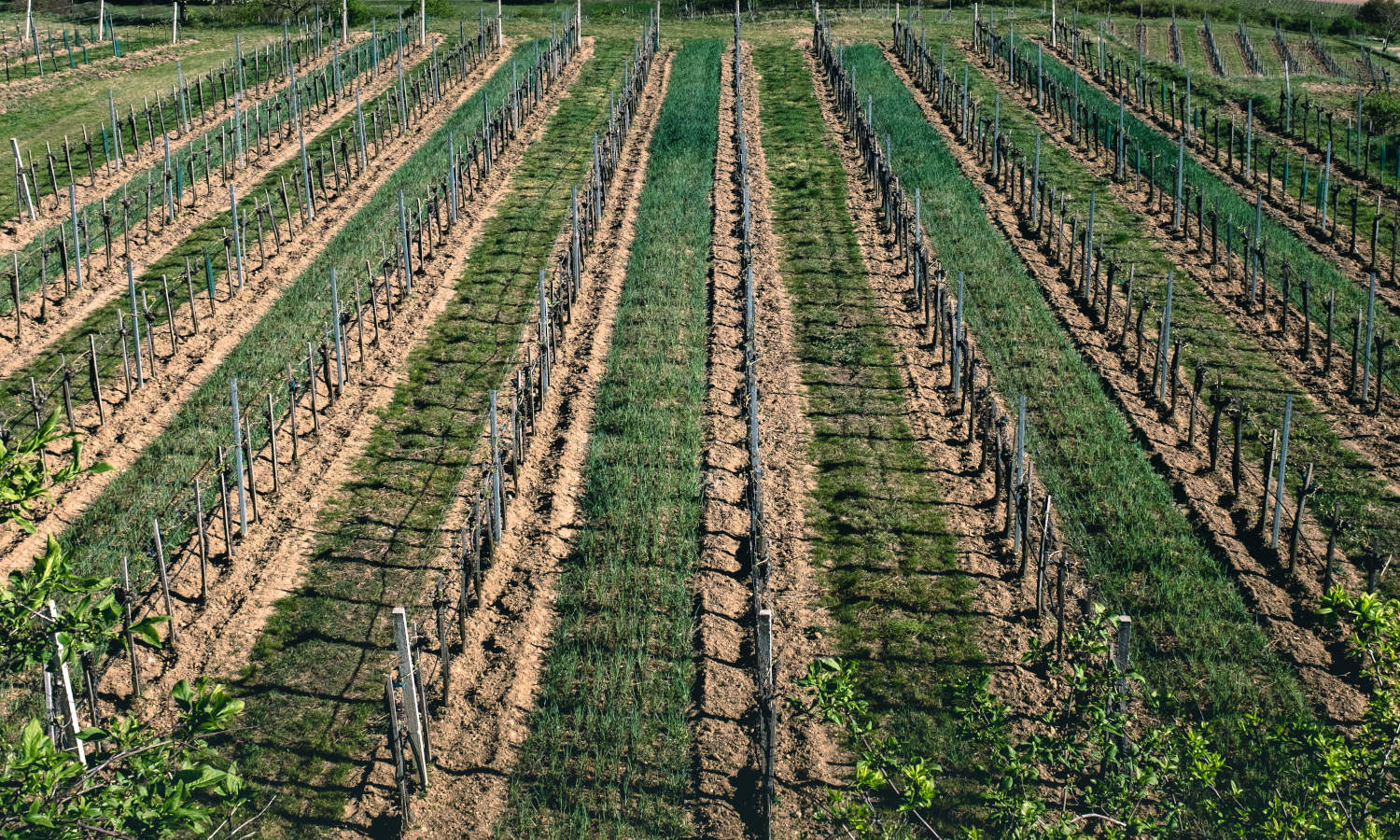 The Canadian Agriculture Partnership is a five year national project that’s investing three billion dollars into Canada’s agriculture industry.