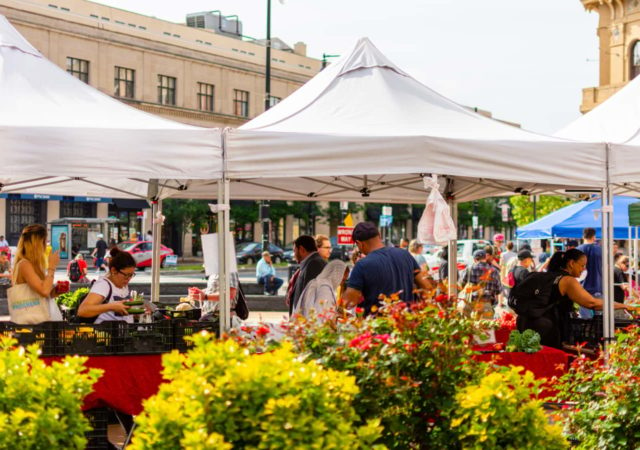 DC Greens Produce Plus program partners with farmers’ markets across Washington D.C., using food to address the city’s problems with equity in access, affordability, and health
