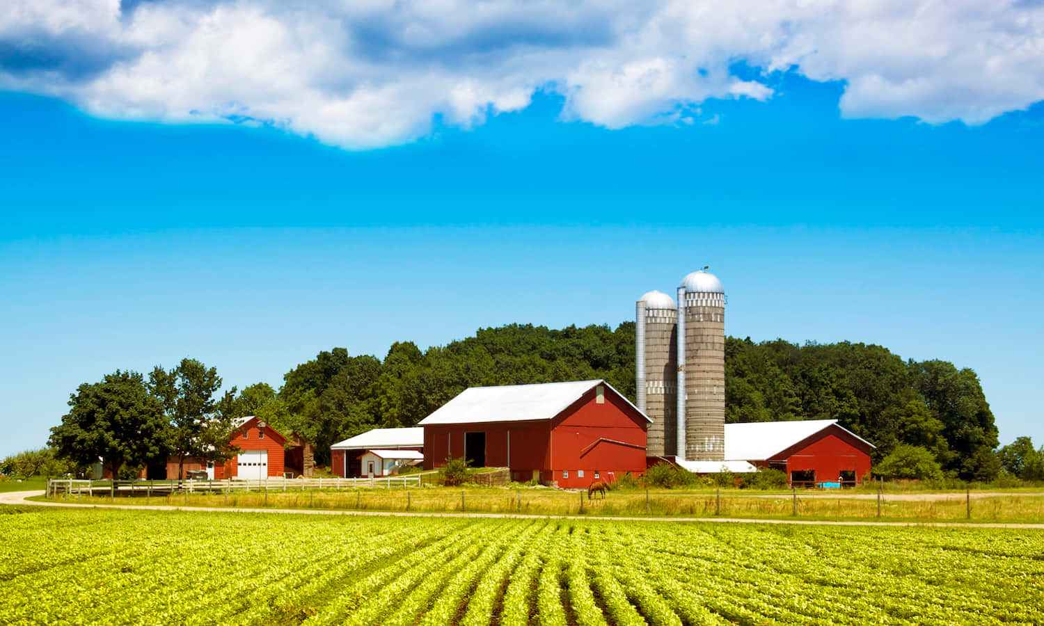 Define Farm Records In Agriculture