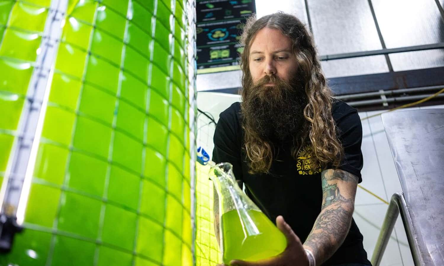 Algae is reducing an Australian brewery's beer production emissions.