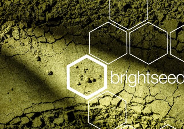 Brightseed will use artificial intelligence to identify unknown compounds in soy and predict previously undiscovered health benefits in plants.
