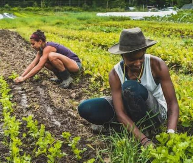 On Juneteenth, a holiday recognizing the end of slavery, A Growing Culture is holding a daylong broadcast to elevate Black voices in the food system.