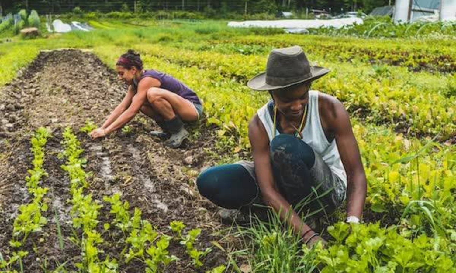 On Juneteenth, a holiday recognizing the end of slavery, A Growing Culture is holding a daylong broadcast to elevate Black voices in the food system.