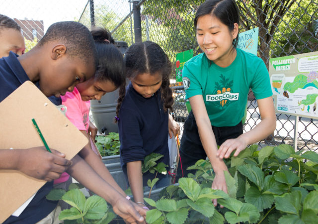 FoodCorps service members continue to serve students as they conduct food and nutrition education online and assist with emergency school meals
