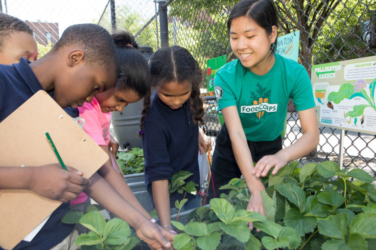 FoodCorps Members Keep Students Learning About Food – Food Tank