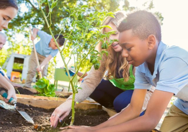 Teachers, Educators, Garden Learning, Hands-On Learning