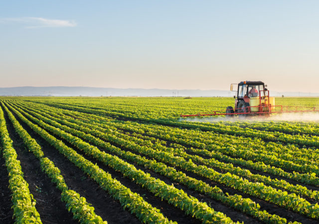 Founded by undergraduates at UC Berkeley, Herbicide-Free Campus works to eliminate synthetic herbicides from schools across America.