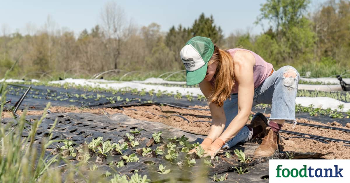 To celebrate International Youth Day, Food Tank has compiled a list of youth who are changing the food system.