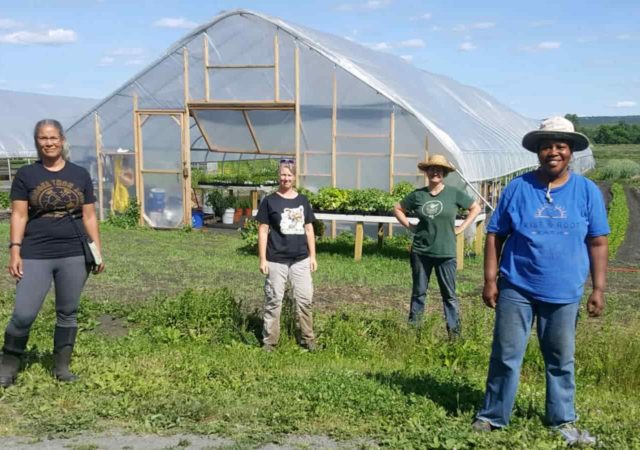 Documentary exposing the history of racism and sexism in American farming features woman-led Rise & Root Farm
