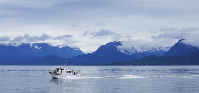 A coalition of over 200 U.S. fishers and seafood industry groups is working to increase federal aid for fishing operations impacted by COVID-19.