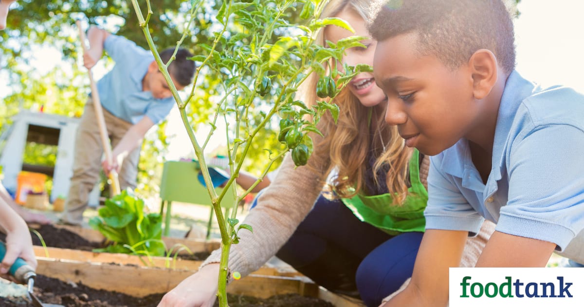 Teaching about food is helping educators build a stronger food system.