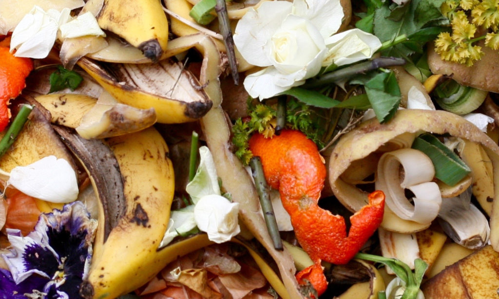 Los alimentos reciclados ya tienen su marca | Agroempresario.com