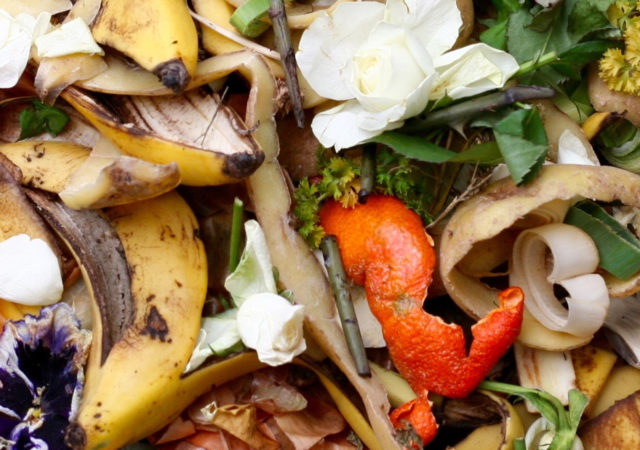 12 Organizations Creating Food Products From Upcycled Food Waste