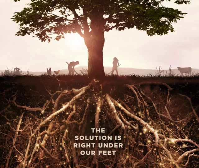 Kiss the Ground, a new film premiering on Netflix September 22, aims to inspire action and soil regeneration