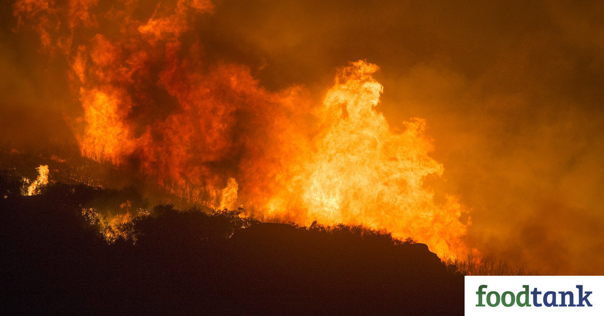 Farm Workers Are Facing Two Crises as Wildfires Burn in the West
