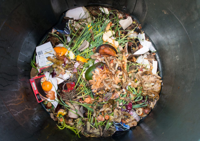 Food Waste is a Solvable Issue