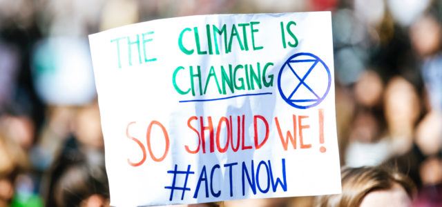 36 climate change organizations that know the climate crisis can’t be solved alone.