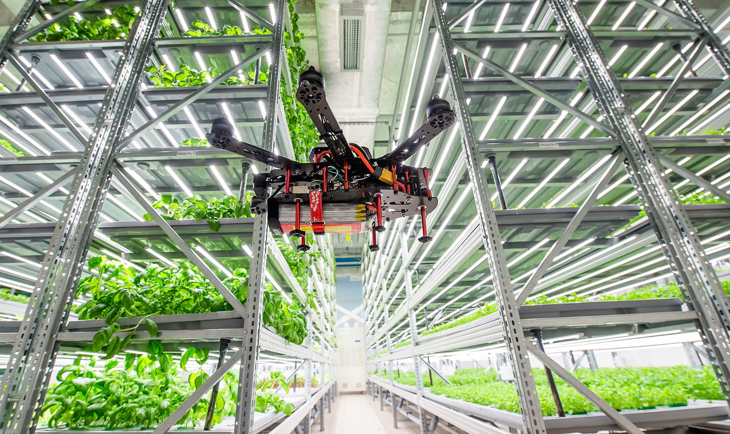Growing Cities: Urban Agriculture Startups Flourishing