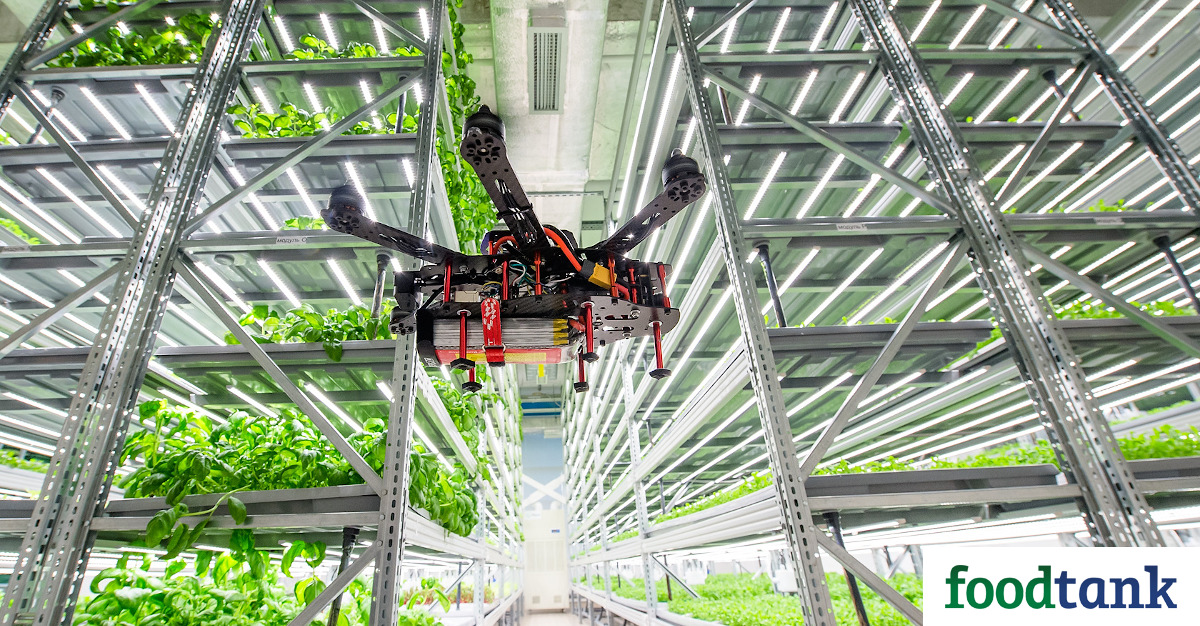 Finnish startup iFarm recently raised US$4 million in funding to develop automated vertical farms featuring AI and drones.