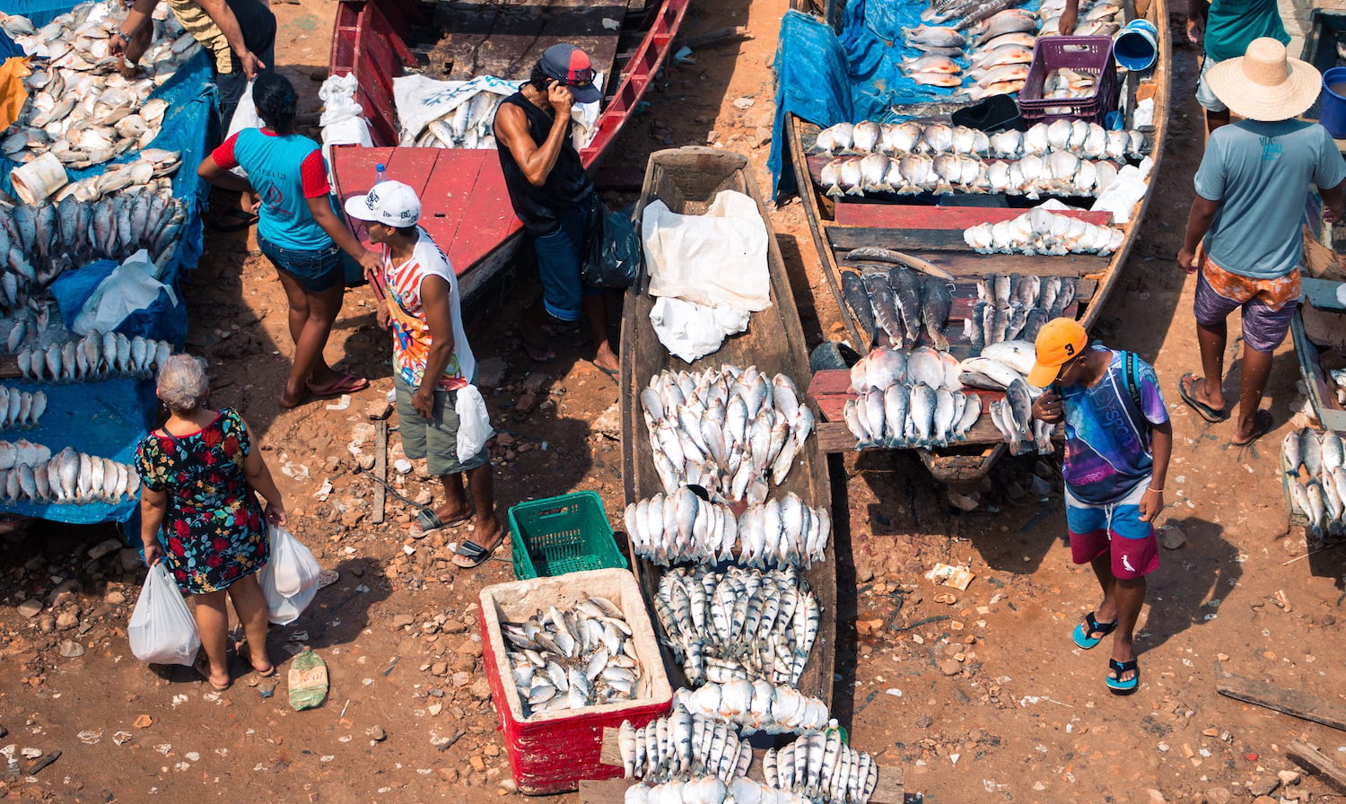 From cleaning the world’s oceans to supporting local fishers, organizations around the world are working towards a more sustainable fishing industry.