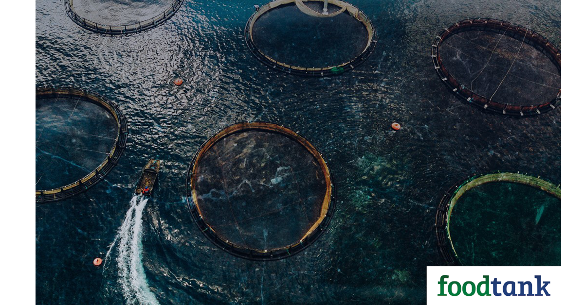 FoodPrint has recently released its Seafood Report which focuses on aquaculture, the many challenges of using aquaculture, and the AQUAA Act.