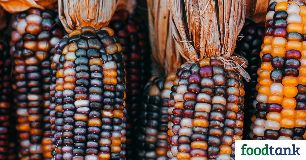 Pinole Blue, an organic blue corn company, is working to honor Mexican heritage while empowering the Rarámuri community.