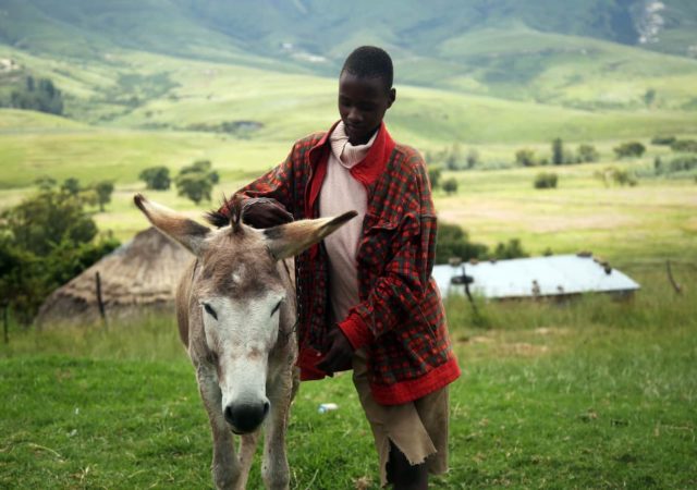 IFAD and Lesotho work to address sustainable rural agriculture development while uplifting women and youth in agriculture.