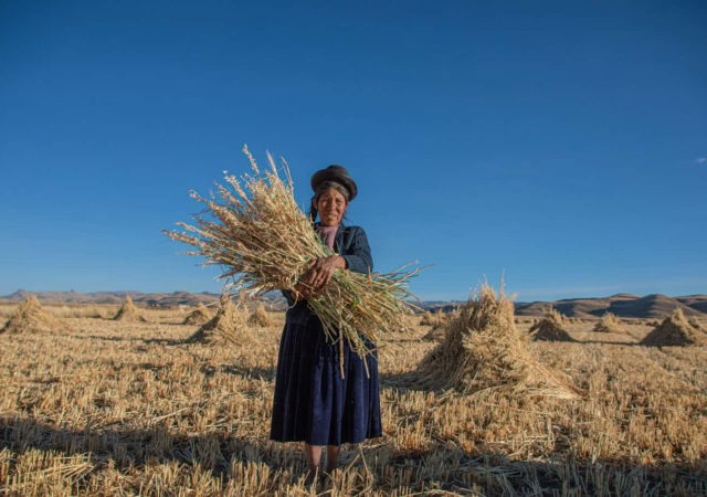 These 17 movements are advocating and fighting for food sovereignty and sustainable land management in South America.