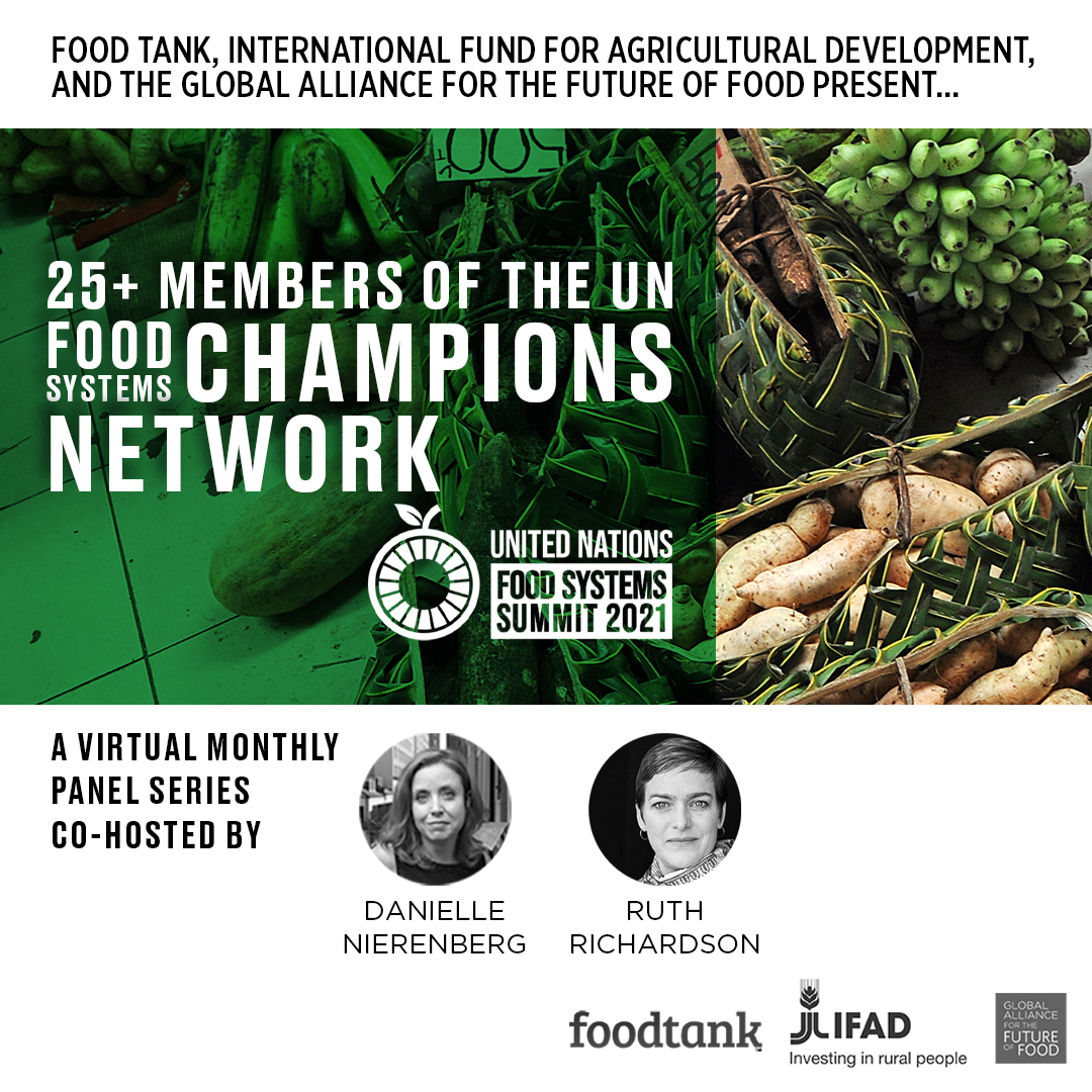 Agroecological and Regenerative Solutions for Stronger Communities – UN Food Systems Champions Network Panel Series