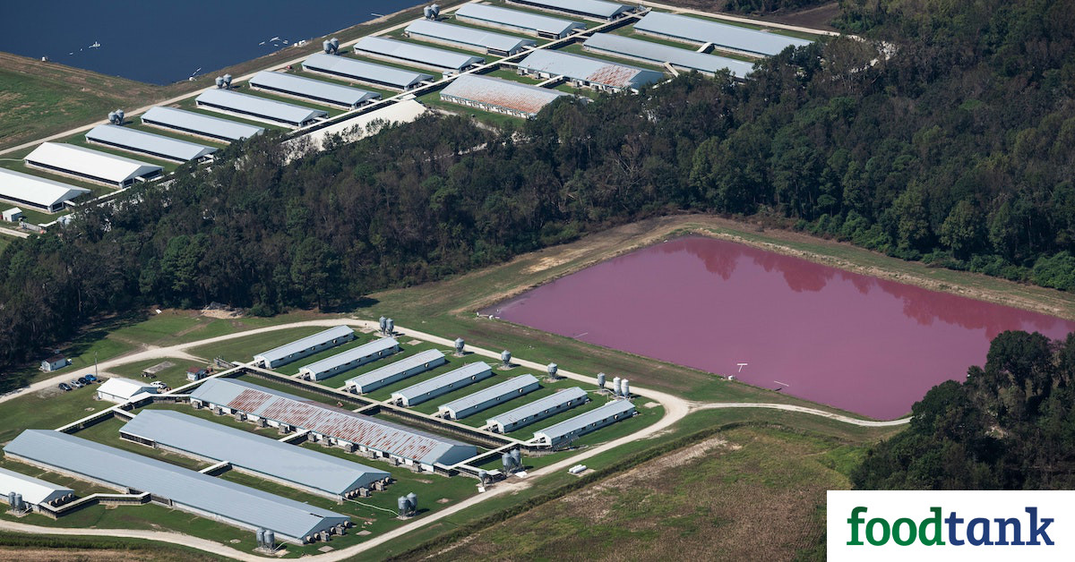Biogas Is Not the Answer to the Industrialized Pork Industry, Experts Say