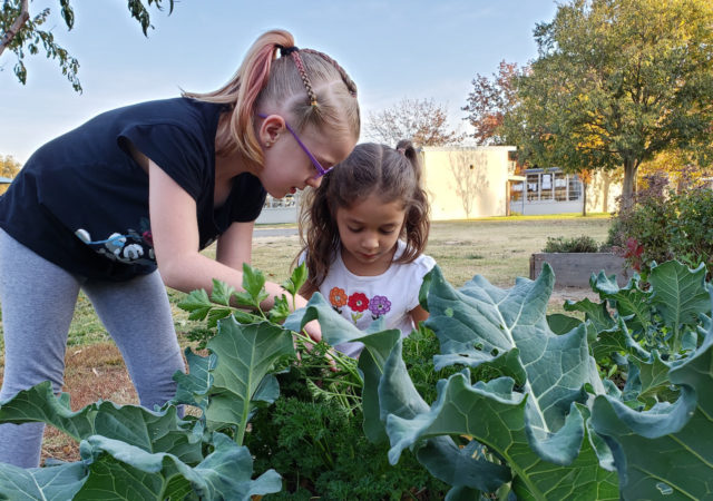 The Food Literacy Center will offer students hands-on cooking lessons from its new green classroom and garden in Sacramento.
