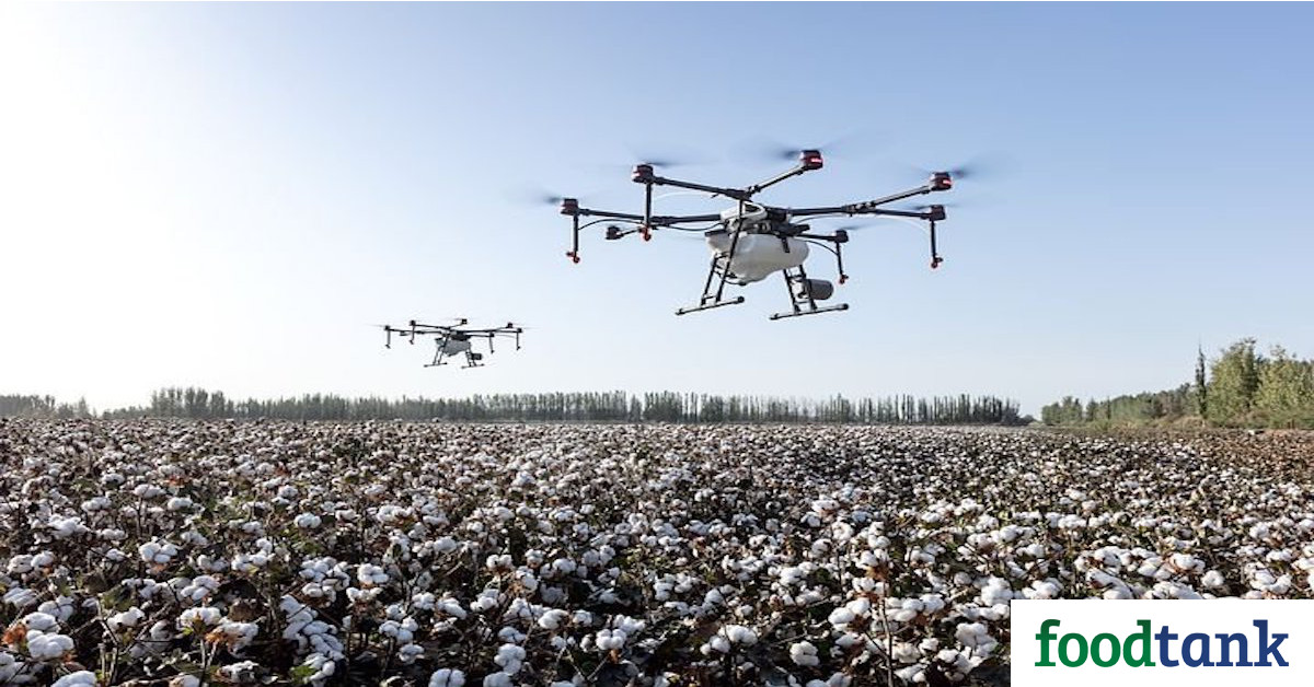 AgFunder’s report finds dramatic investment growth in the AgriFoodTech sector in 2020.