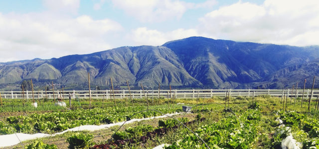 A small farm in California is working with a Tribal Nation to implement carbon farming practices that mitigate climate change.
