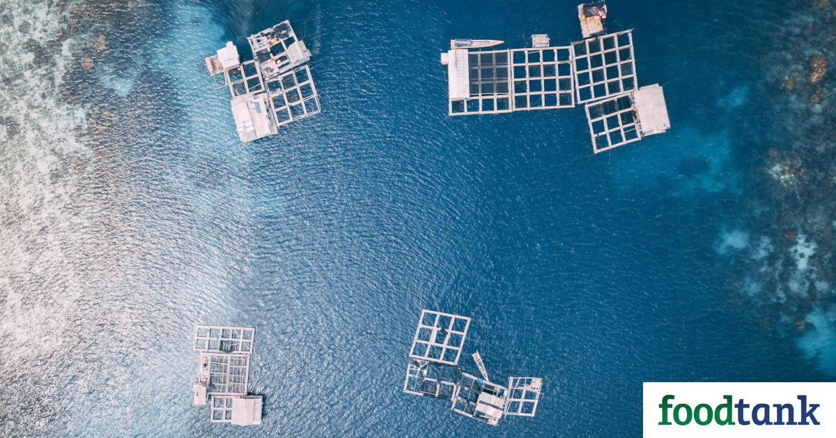 Aquaculture can help feed the world’s growing population if the industry continues to embrace sustainability measures and environmental precautions.