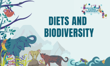 Why Are Diets And Biodiversity Linked? – Food Tank