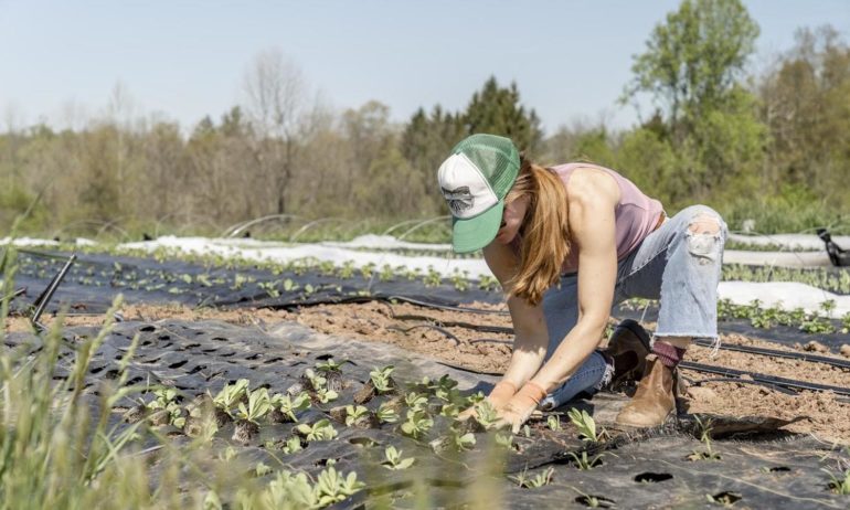 20 Youth Organizations Transforming Food Systems – Food Tank