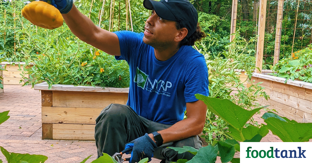Nonprofit Provides Community Green Space at 52 Gardens Across New York City, With Education Programs, Urban Gardening Resources, and More.
