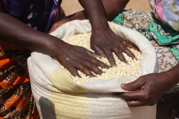 transforming-food-systems-means-putting-adequate-and-nutritious-food-in-the-hands-of-farmers-credit-Busani-Bafana-IPS-1024x683 transforming-food-systems-means-putting-adequate-and-nutritious-food-in-the-hands-of-farmers-credit-Busani-Bafana-IPS-1024x683