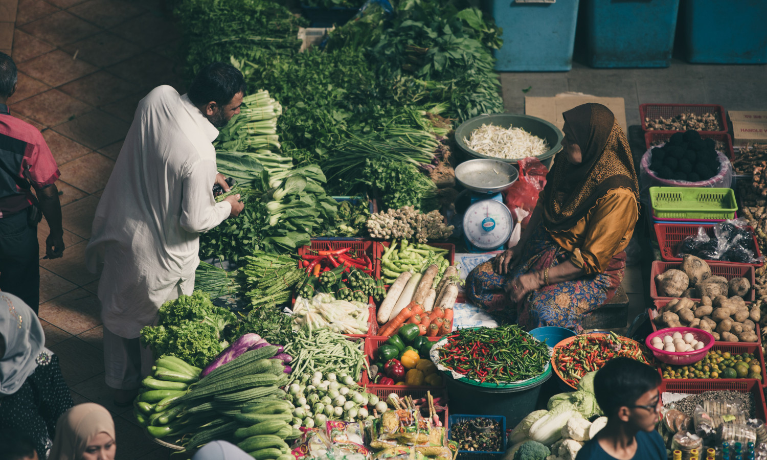 The First World Farmers Markets Report analyzes the tools global farmers markets need to successfully create alternatives to the globalized agrifood system.