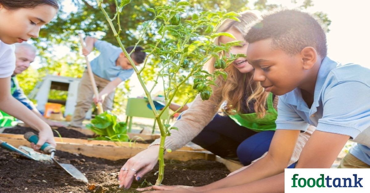 These 30 organizations are working to support and provide opportunities for young farmers and rural youth in the agricultural sector around the world.