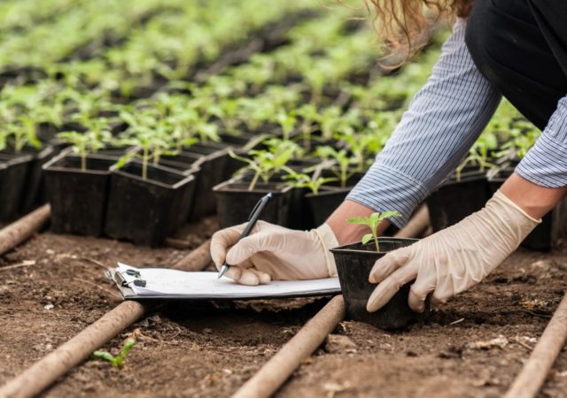 Ecdysis Foundation launches the 1000 Farms Initiative to investigate the outcomes of regenerative farming in ranches and farms across the U.S.