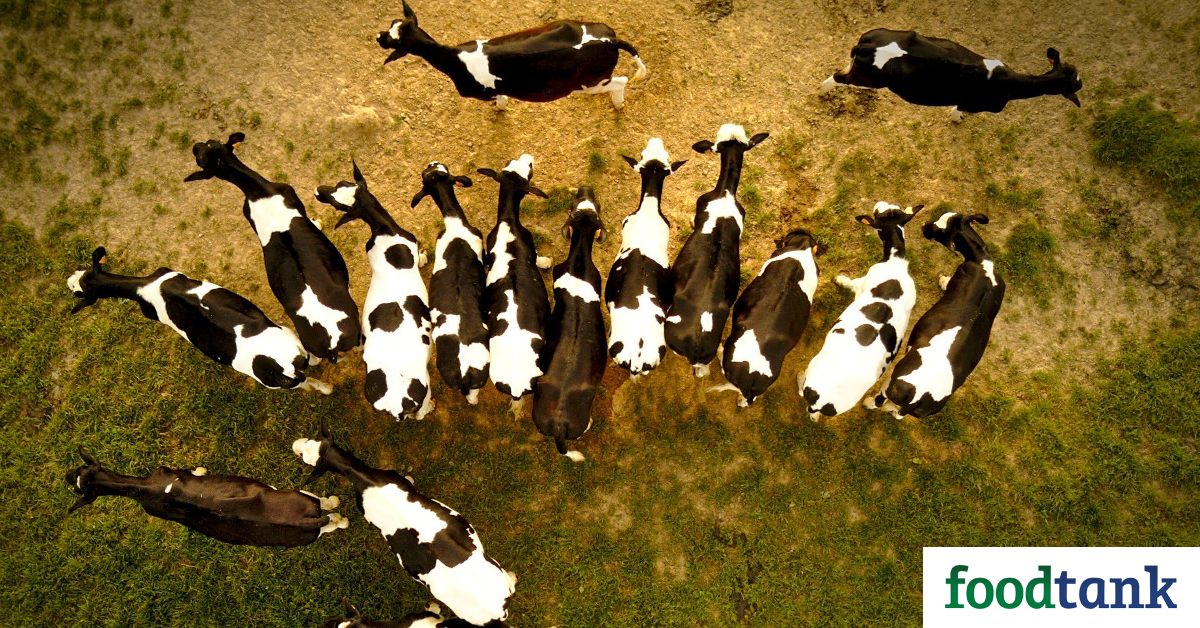 16-organizations-redefining-the-future-of-livestock-management-food-tank