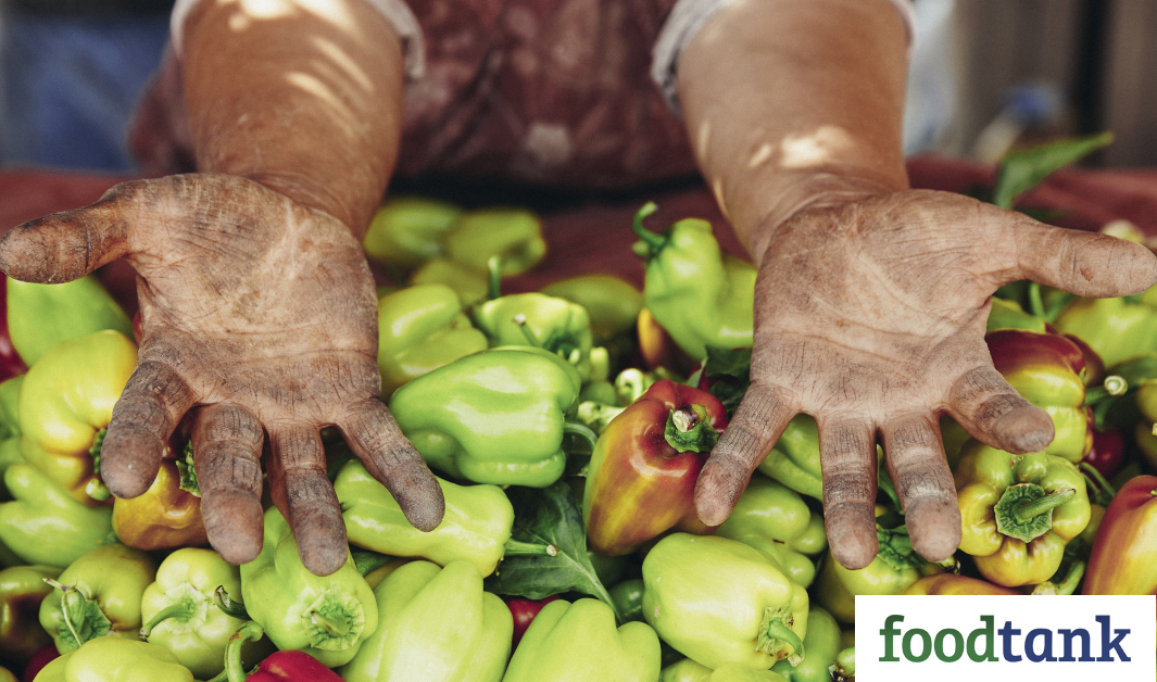 The FSI report by Economist Impact offers data to drive sustainable food system solutions.