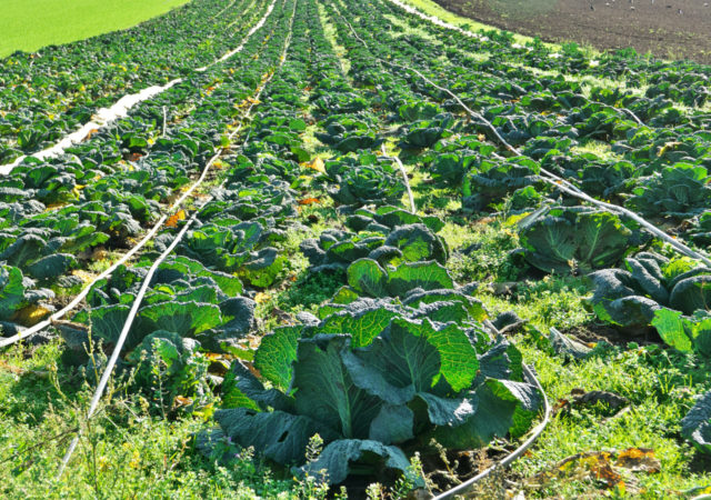 USDA announces funding for pilot projects aimed at helping farmers and forest landowners implementing climate-smart conservation practices.