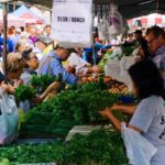 From Emergency to Resilience: Building a Better Food System for New York City