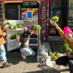 NYC-Based Grassroots Collective Uses Food as a Tool of Resistance