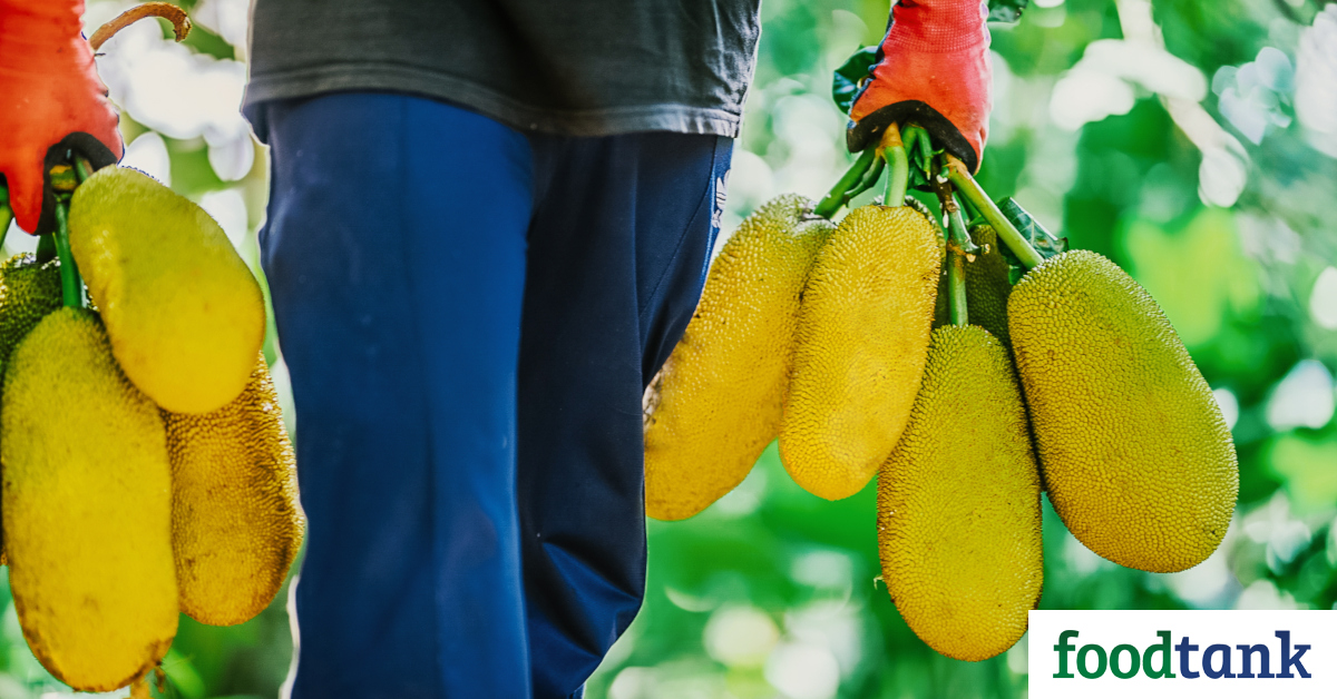 Karana Foods, a Singapore-based food tech startup, offers plant-based meat alternatives made from jackfruit.